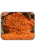 Mercimek